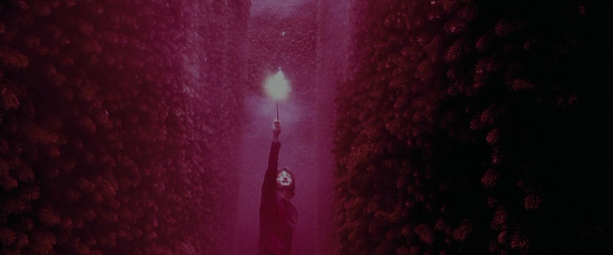 TheCinesthetic's tweet photo. Harry Potter and the Goblet of Fire was released 18 years ago today. https://t.co/HNWXiZdX0w