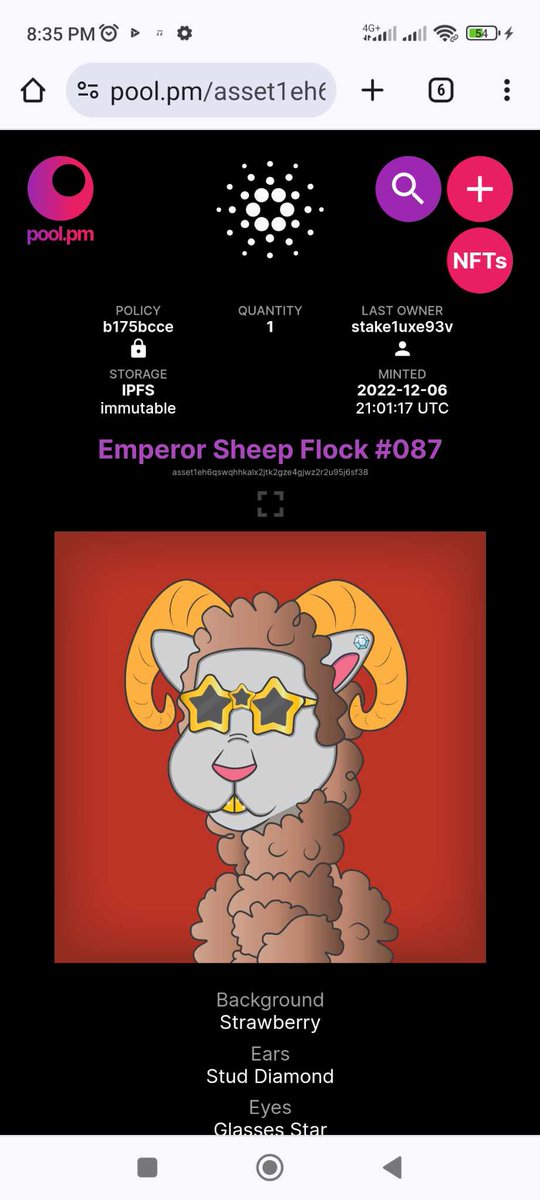 kimichichi13 tweet media