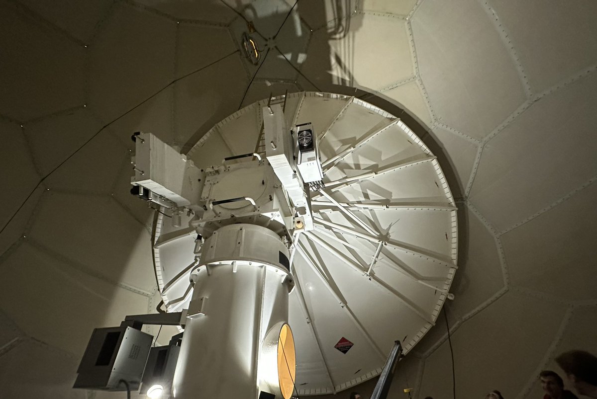 Michaela tweet media