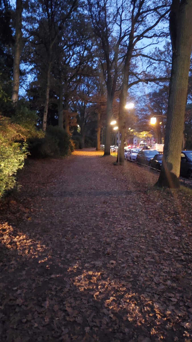 Warum wird eigentlich die Straße beleuchtet, mein Fußweg aber nicht? #sicherestadtfueralle