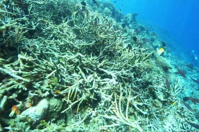 anoth3rpeople tweet media