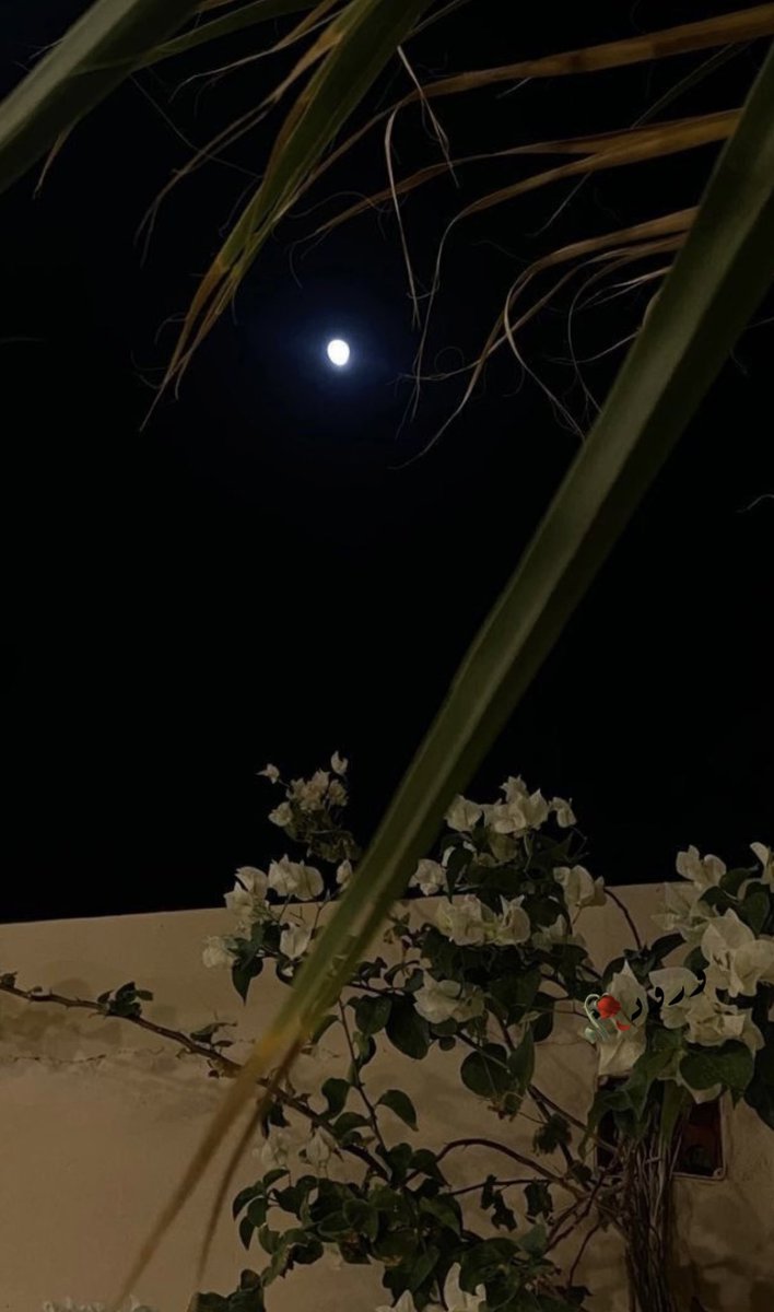 وروود🥀🌕🇸🇦💚اهلاوية ملكية👑💚 tweet media