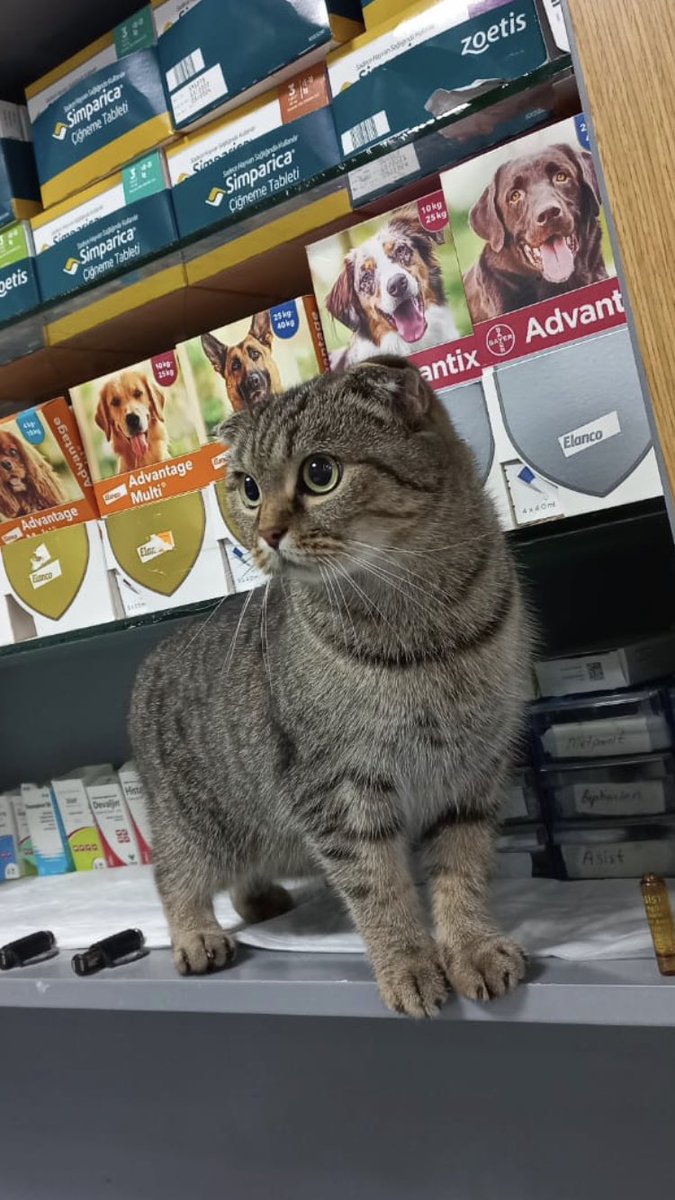 Hekim                         / Hastası