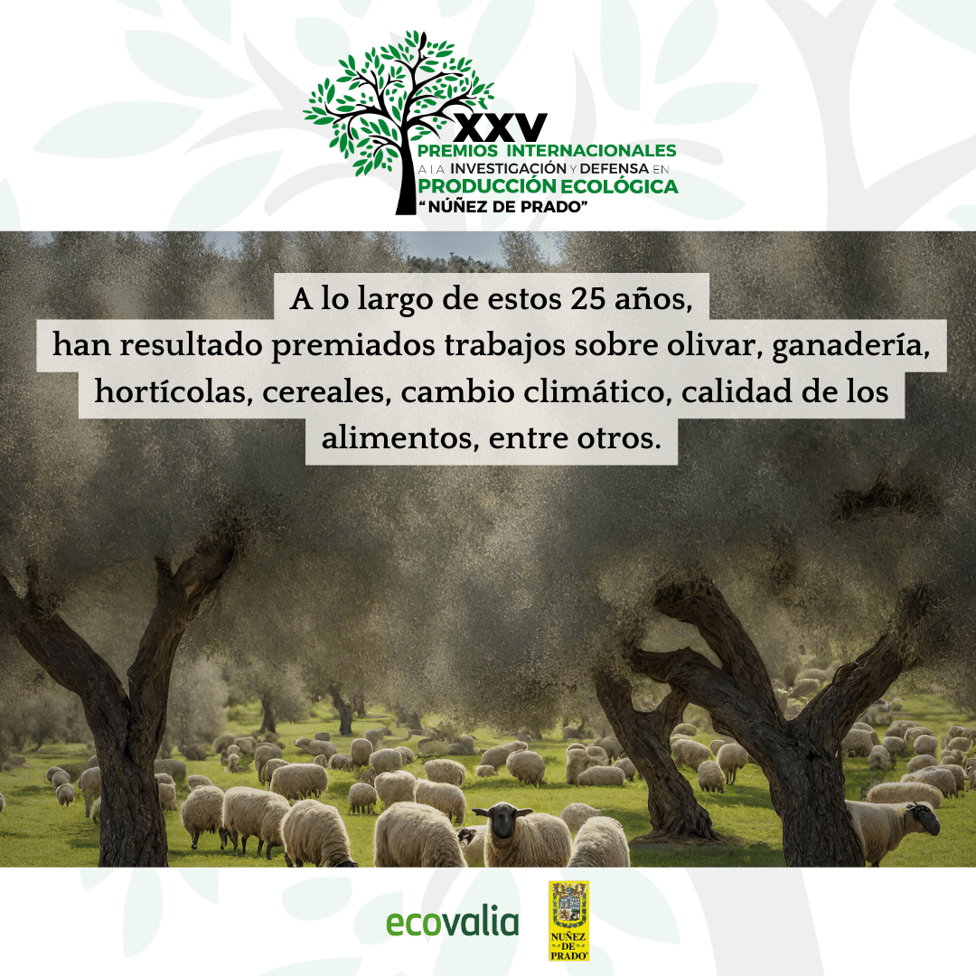 En sus 25 años de historia, los Premios Internacionales a la Investigación y Defensa en Producción Ecológica, han premiado trabajos sobre olivar, ganadería, hortícolas, cereales, cambio climático, calidad de los alimentos...
#produccionecologica #premiosinvestigación