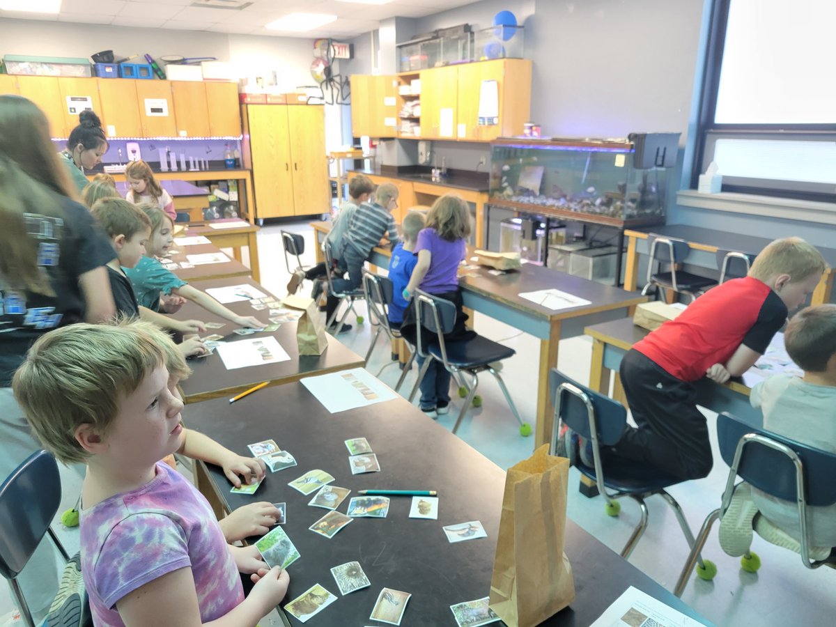 EhmsShaw's tweet photo. The first grade came to investigate the similarities between offspring and adult parents of different types of animals. #ehroyalpride #smallschool #connectedasone https://t.co/8rOatKcQuu