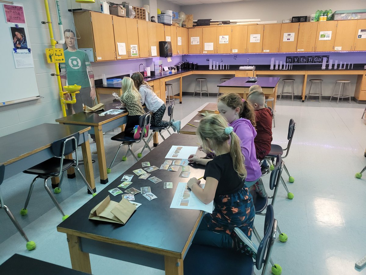 EhmsShaw's tweet photo. The first grade came to investigate the similarities between offspring and adult parents of different types of animals. #ehroyalpride #smallschool #connectedasone https://t.co/8rOatKcQuu