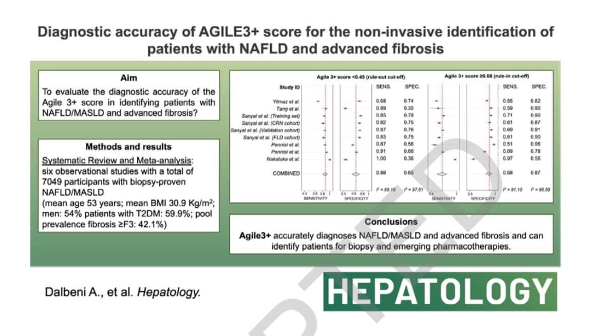 Our paper on the #agile3+score for the identification of #liverfibrosis in #masld published in @HEP_Journal
Thanks to @andreadalbeni for sharing this first co-authorship
@Alessan95336031 @gra_penni @salvatore_petta @FedRavaioli 
👉🏻 surl.li/nhjdg