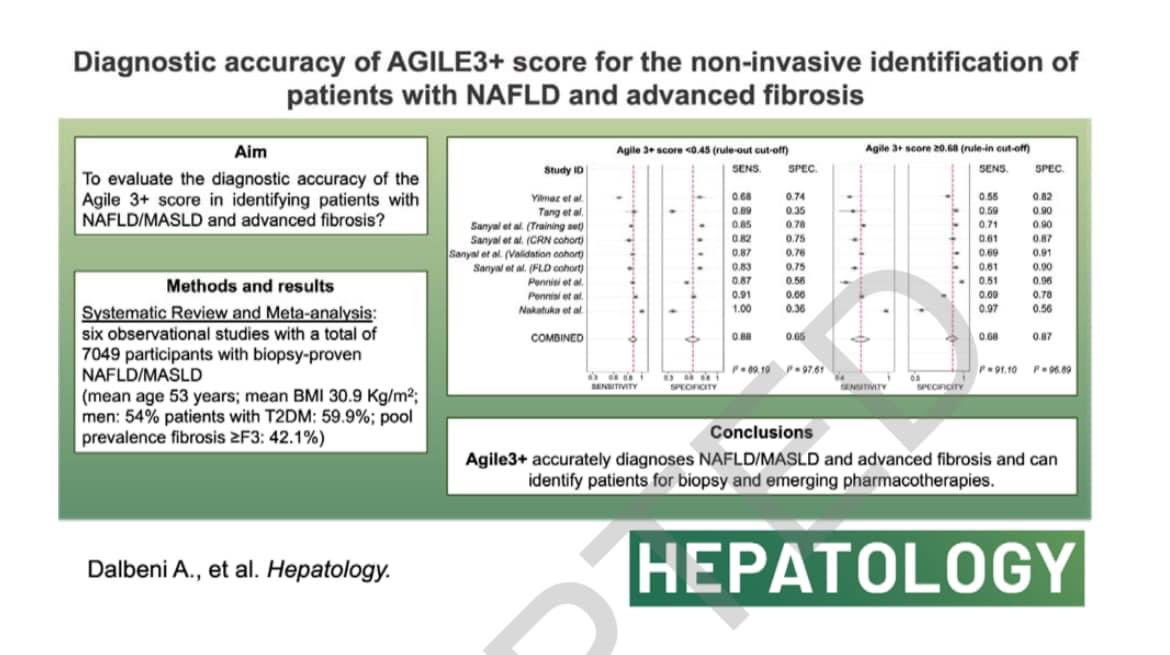 Our paper on the #agile3+score for the identification of #liverfibrosis in #masld published in @HEP_Journal Thanks to @andreadalbeni for sharing this first co-authorship @Alessan95336031 @gra_penni @salvatore_petta @FedRavaioli 👉🏻 surl.li/nhjdg