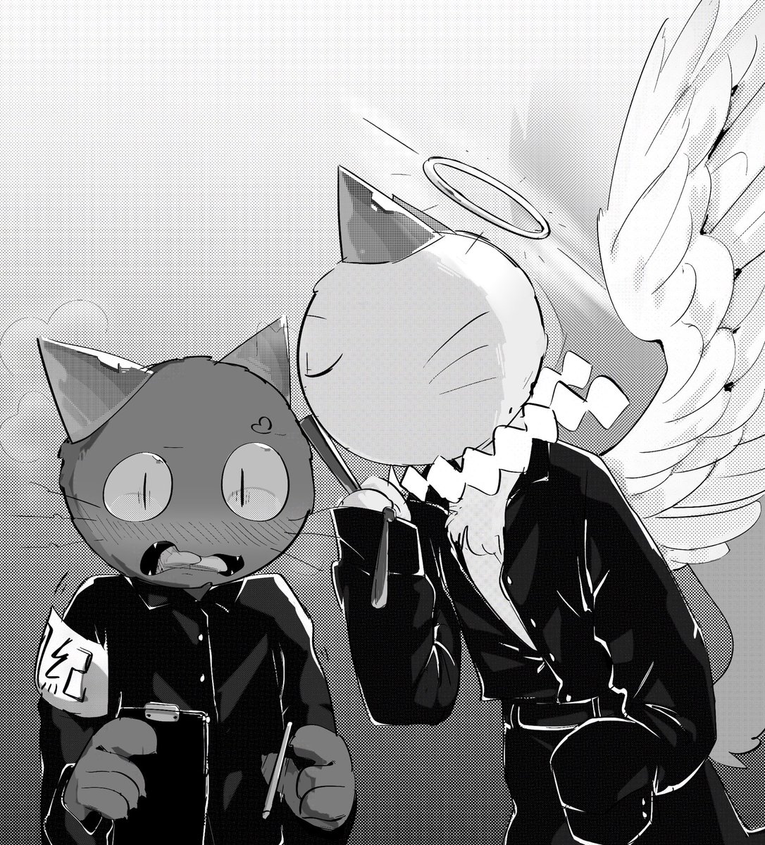 _traffic_222222's tweet photo. chu
 #ねこのティーチくん https://t.co/kVeI6xwW65