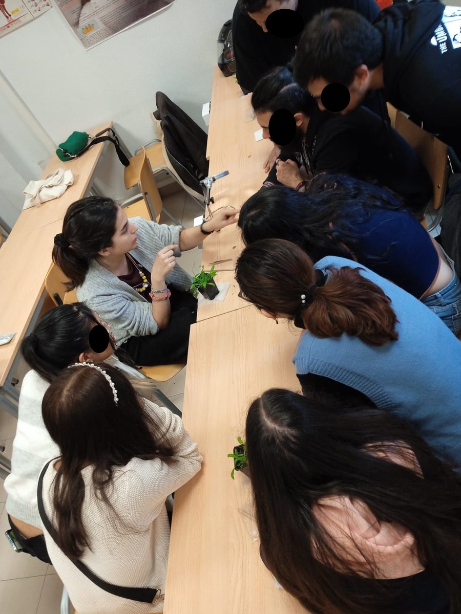 MejoraUpm's tweet photo. Otro año más, nuestro grupo de investigación y de innovación educativa #MAGyA @etsiaab @La_UPM participa en la #SemanaDeLaCiencia Alumnos de 4ESO @ies_sjb y FP @IESLopedeVega fueron artistas/científicos ♀️♂️cruzadores de Arabidopsis, 🍅tomate y 🌶️pimiento! https://t.co/R4wwKRlEsr