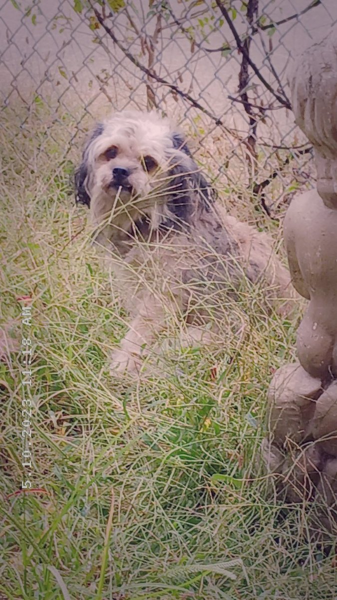 Venetta and I choose rich $earnm (@venettav51698) on Twitter photo 