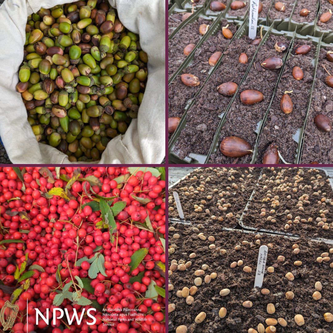 Glenveagh National Park tweet media