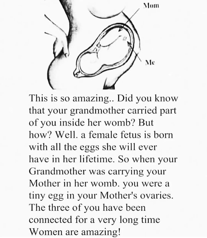 manifestationus's tweet image. .⁣⁣⁣⁣⁣⁣⁣⁣⁣⁣⁣⁣
#trustyourself #trustyourselfmore #selfgrowth #inspireyourself #youareamazing #spiritualgrowth #awaken #emotionalhealth