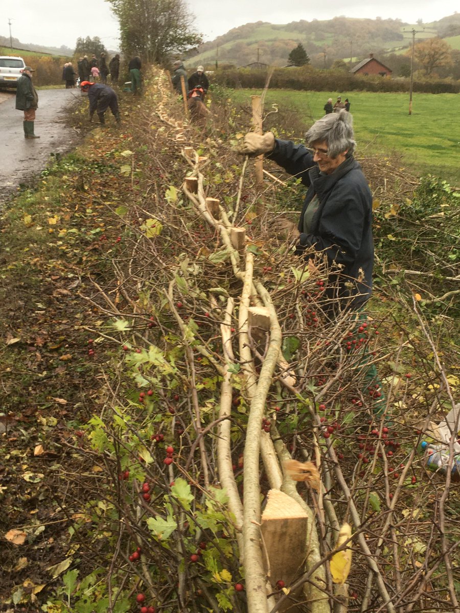 Gethin Davies 🇺🇦 🏴 tweet media