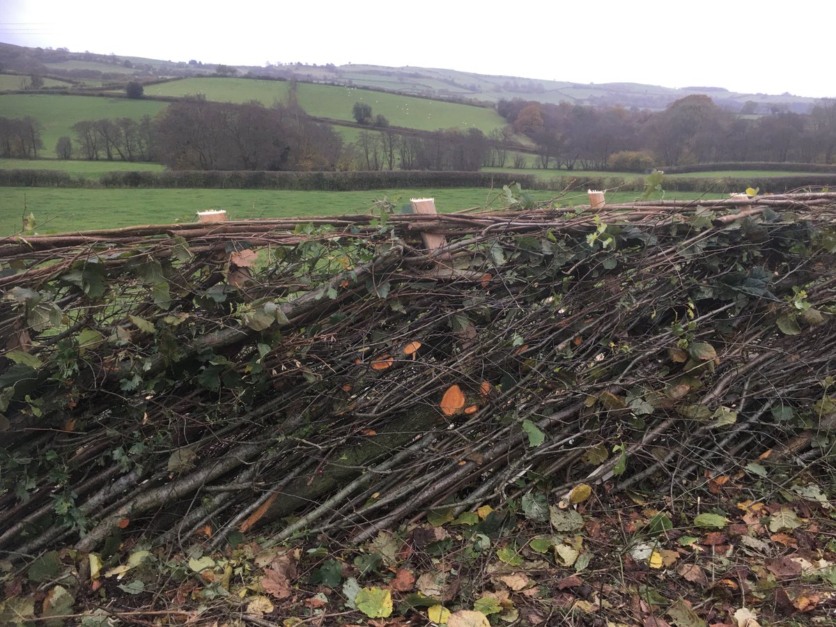 Gethin Davies 🇺🇦 🏴 tweet media