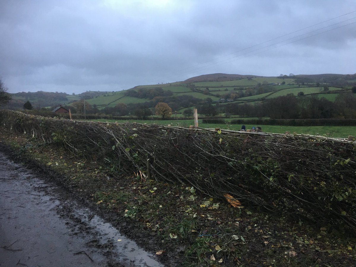 Gethin Davies 🇺🇦 🏴 tweet media