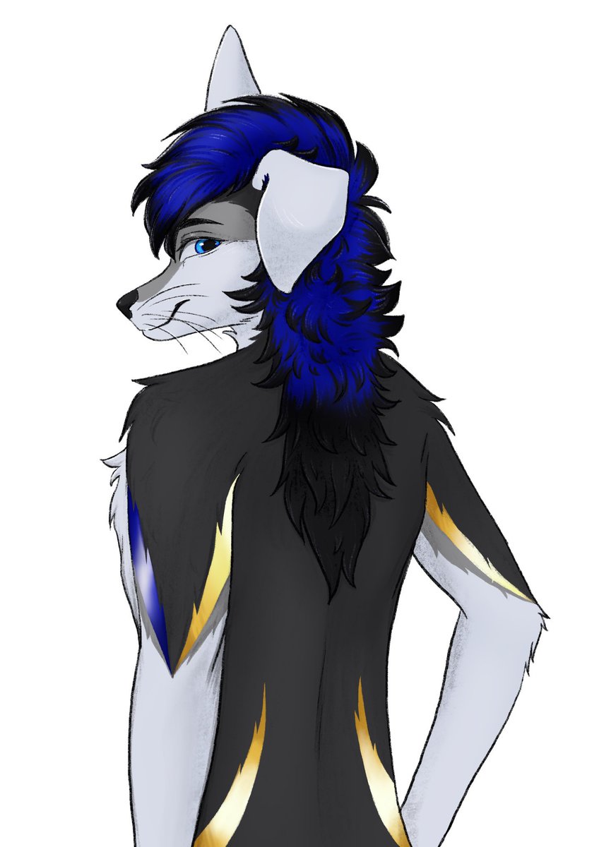 BellFaArt's tweet photo. Commission for my good friend @TrumiWoof โบ๏ธ
#furryart #furryartist #bellfa #furrycommission https://t.co/NHIqa04Wcd