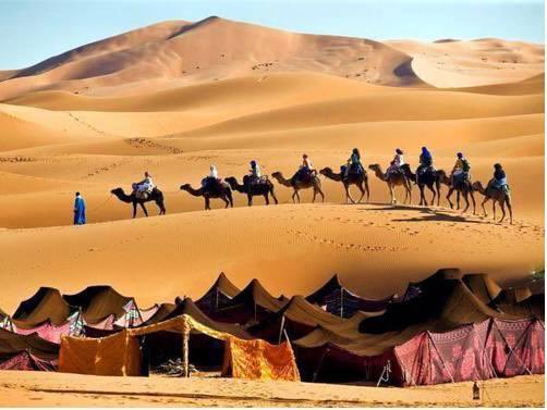 يادار وين اللي منول في جنابك نازلين
لنجورهم في جانبك لجه وللخيل رهمه

وسمر البيوت الشامخه والبل مهجرعت الحنين
والعد للساني هزيج وللمحاحيل نغمه 

اللي ليا جا للشفق لونٍ مثل دم الوتين
جا للطروش الوارده على مواردك عسمه