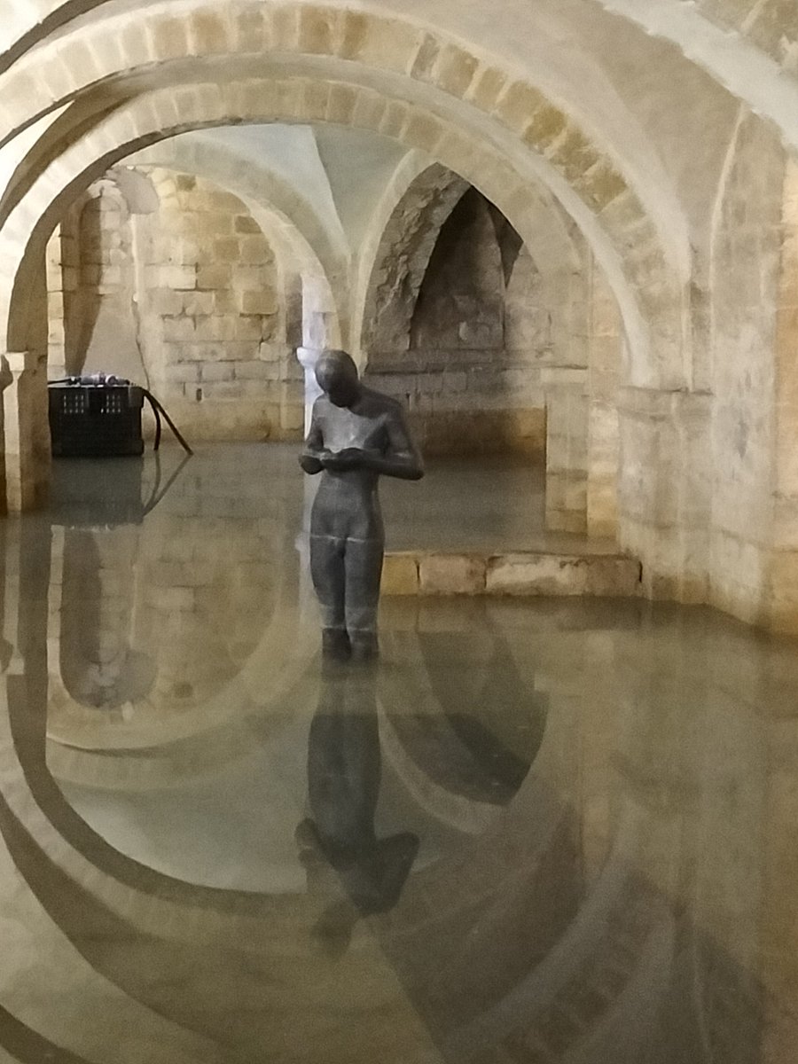 Michael Minta tweet media