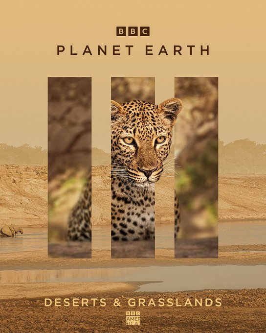 Conditions in the vast wilderness can change in an instant. To be successful, you need to be able to<a href="/tag/planetearth3"class="tags"><span>#planetearth3</span></a>