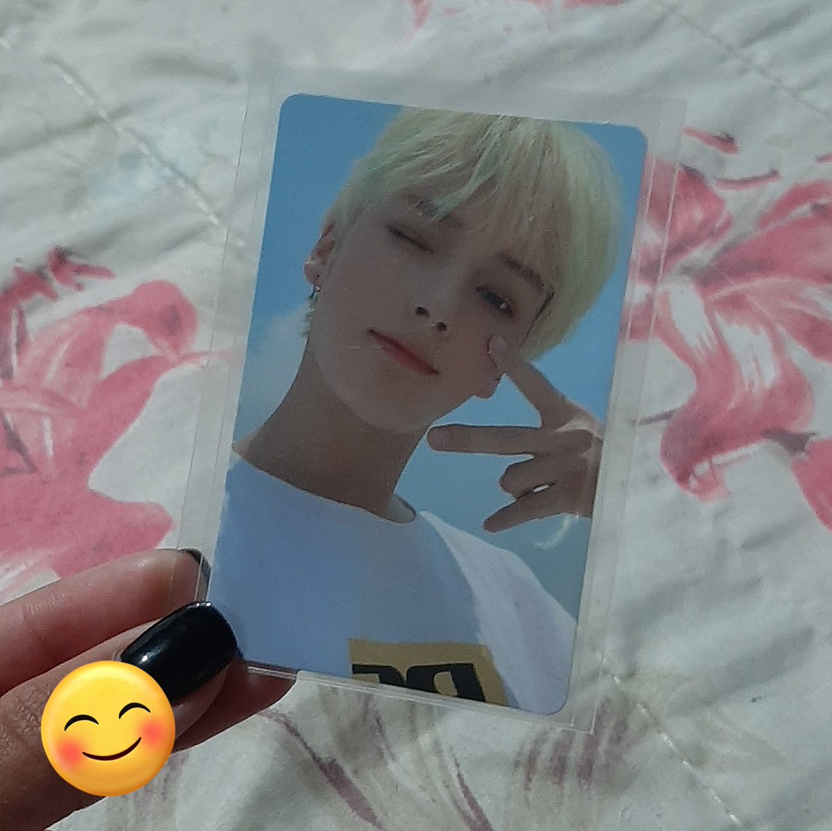 vivi ⭑ tweet media