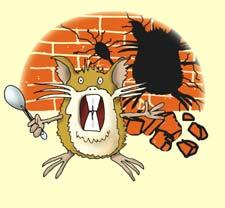 MATT⏩FWA tweet media