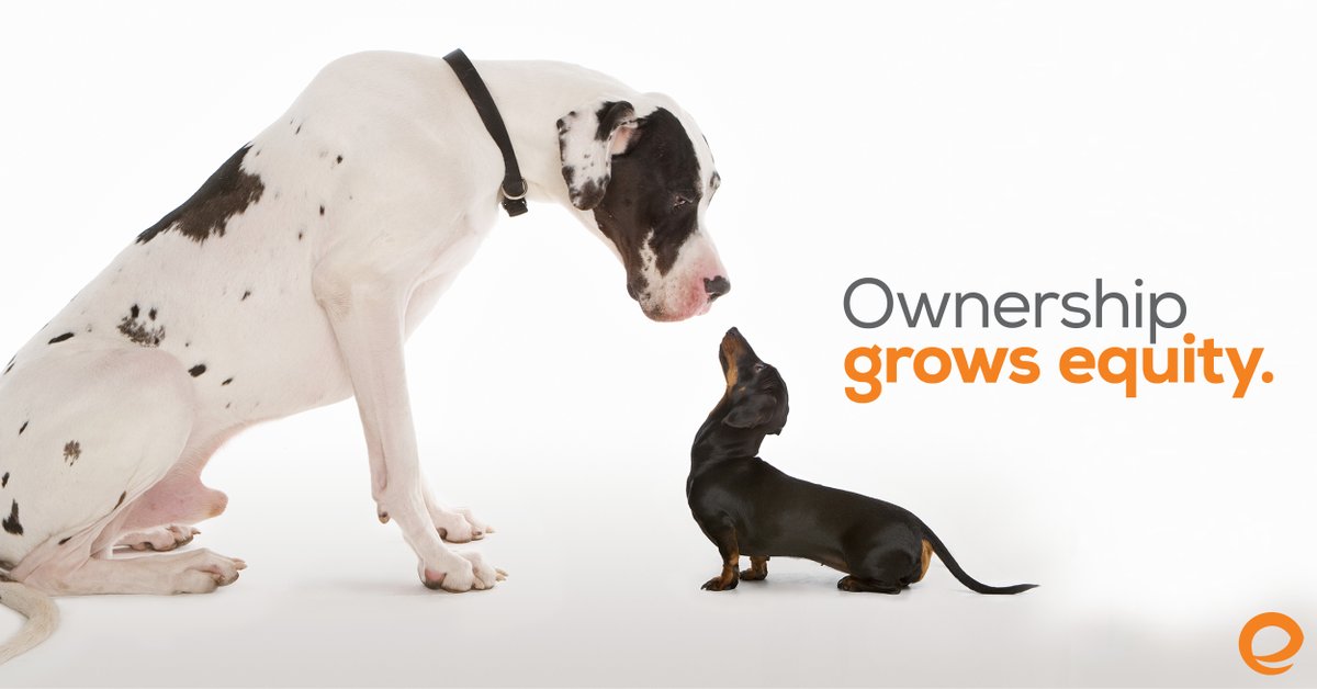 Stephen_Embrace's tweet photo. Your clients are tired of paying rent and not building equity. Help them run with the big dogs (instead of behind them) by owning their own place and increasing their net worth. #teamthaggard #embracehomeloans https://t.co/xgt0Uh67Gg https://t.co/v4q2joeuiJ