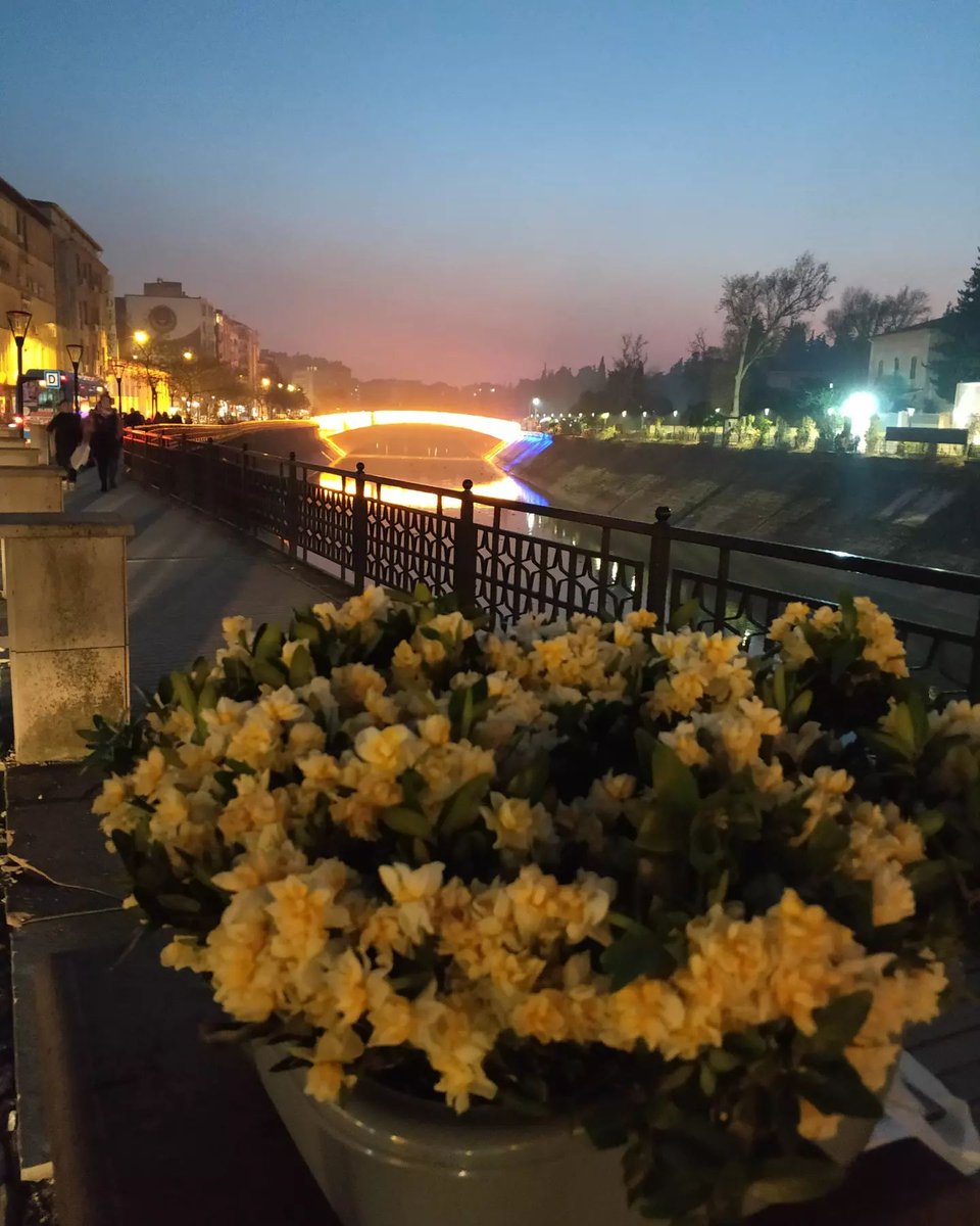 En çok ta nergisler yakışıyordu asi şehrin akşamlarına ..
Antakya her hâlini özledik... 🥺🥺