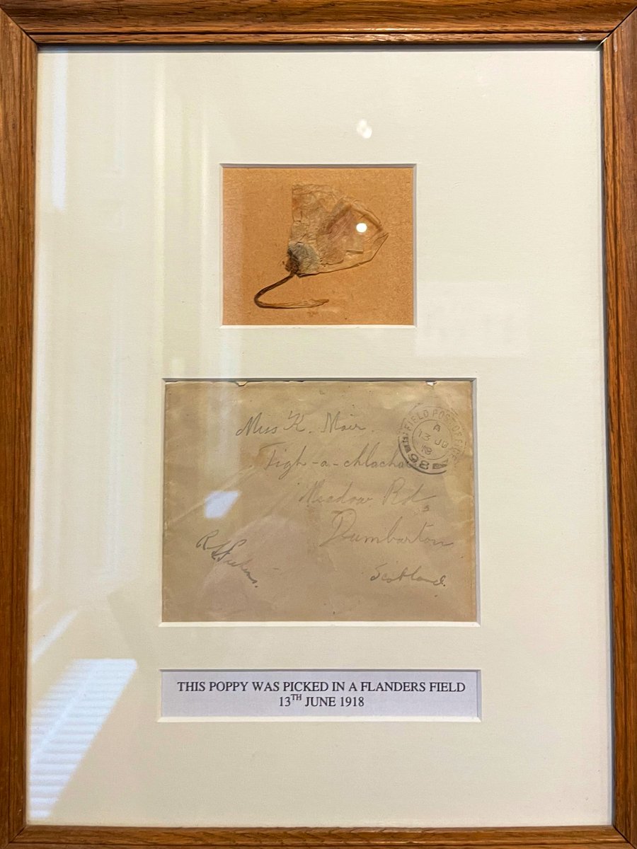 Miss Jack tweet media