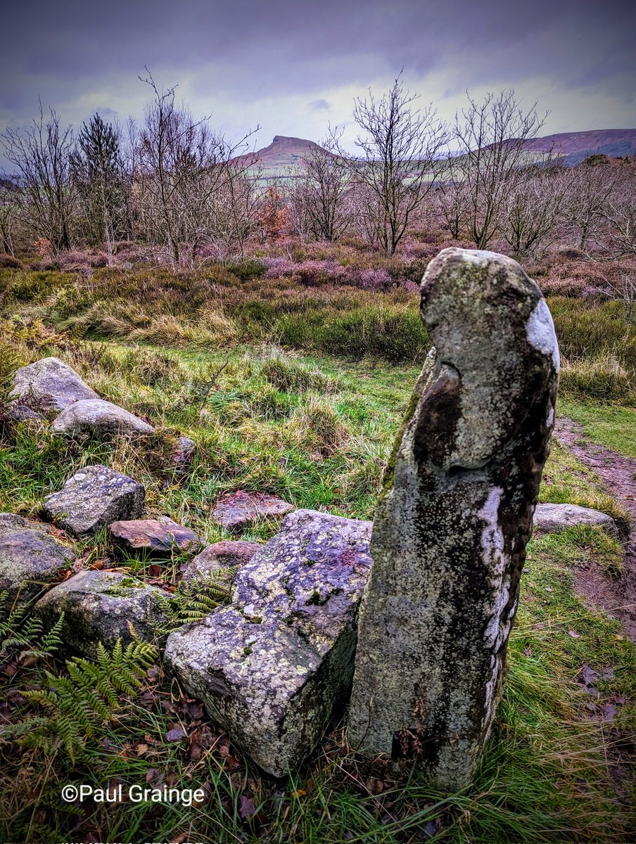 Paul Grainge FSyI tweet media