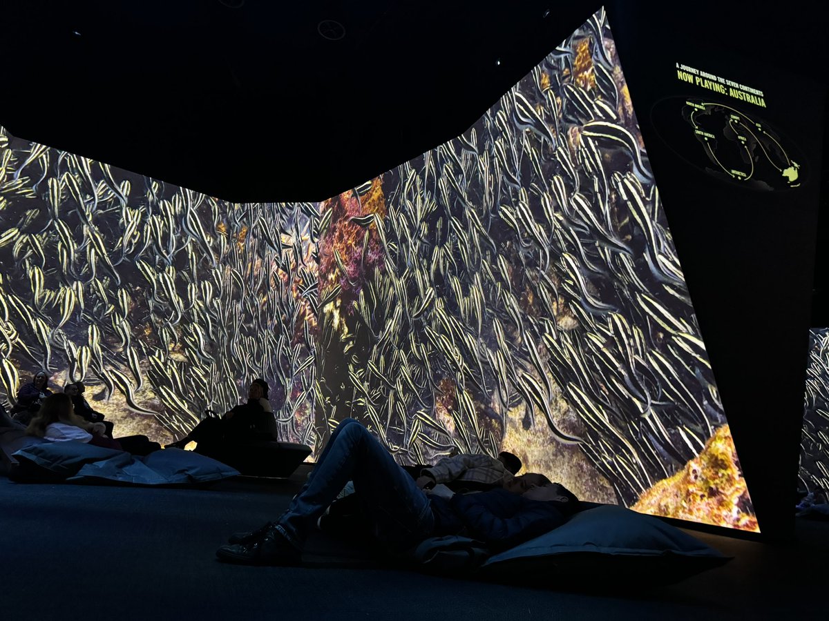 Ross Hateley tweet media