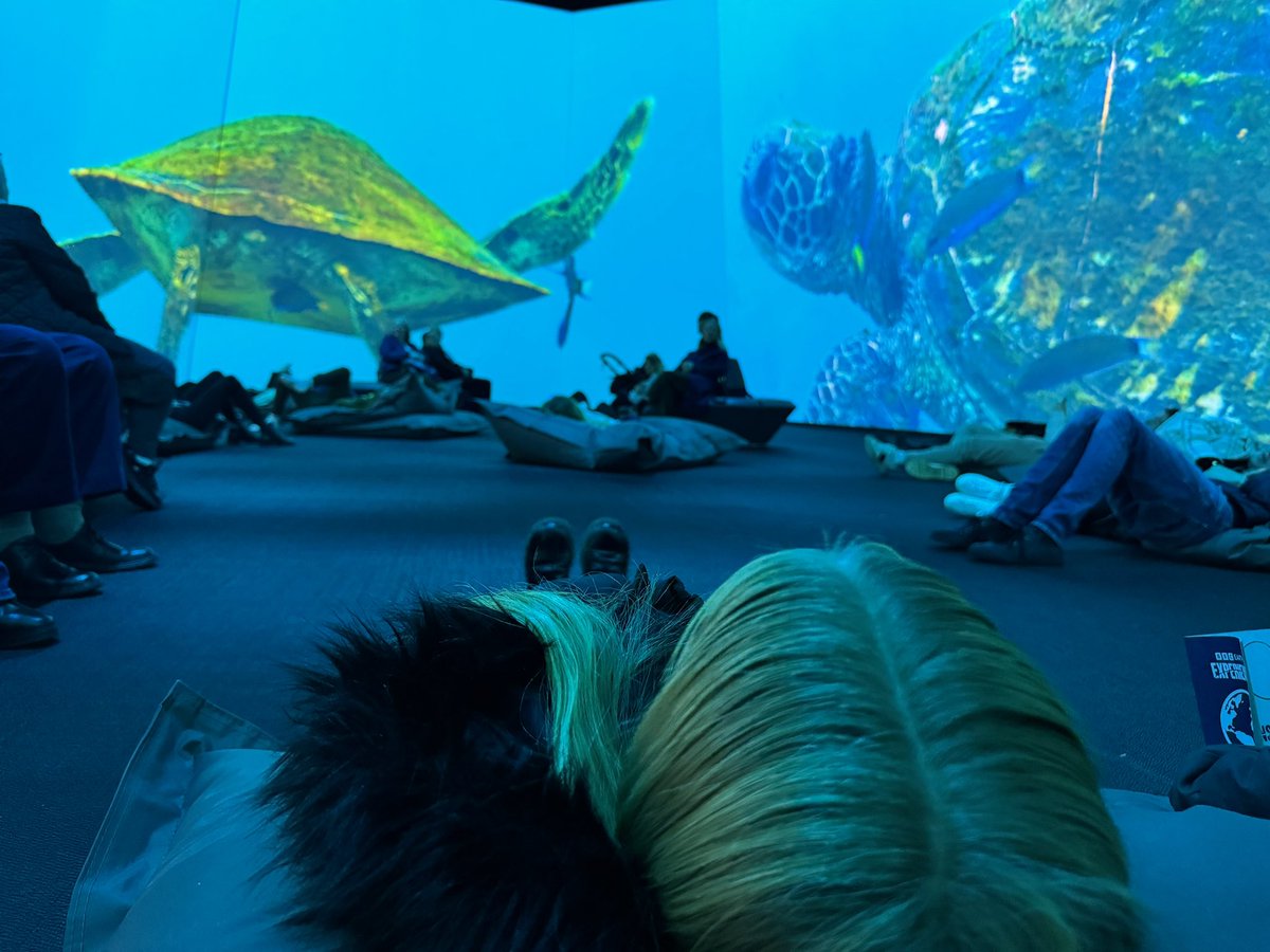 Ross Hateley tweet media