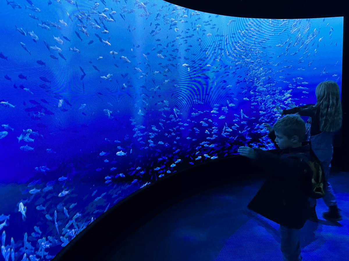 Ross Hateley tweet media