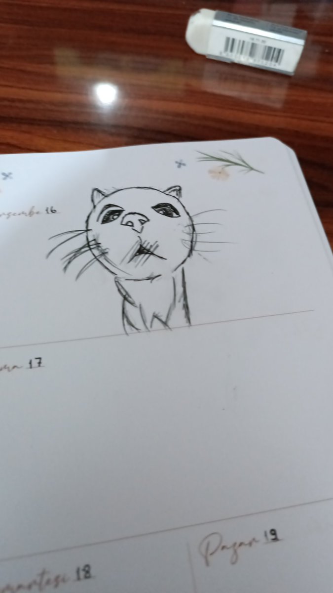 ajandama çizdiğim kediye bakar mısınız!! ( otistik oldu)