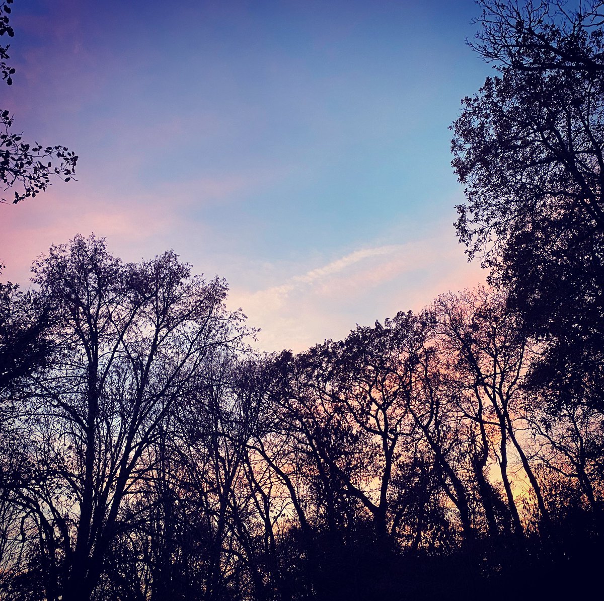 spacedogsradio's tweet image. Feels like ages since a half decent sunset #france #rain #ploop