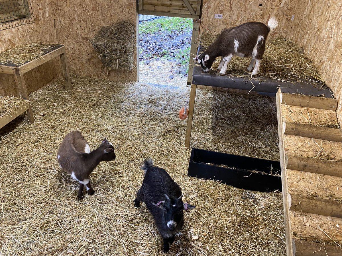 RyanJSmith tweet media