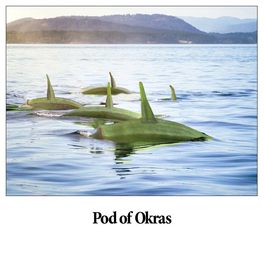 ChessieR's tweet image. Does anybody know what time it is? YES! It's S4S time once again so LAUGH! IT'S GOOD FOR YOU!!
#CSRobertsAuthor #AwarnessPerpetrator #Mindstream #EvolutionOfSelf #Perspective #RaiseYourResonance #S4S #LaughItsGoodForYou