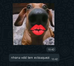 zoddinha's tweet image. ??