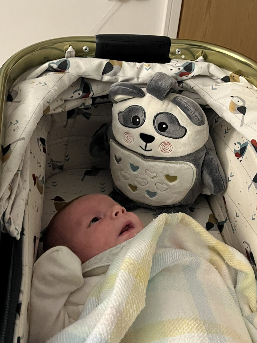 Hockey hasn’t been going our way last few weeks and Saturday nights have become very different. However this little guy makes life so worth it. Didn’t know I could love something so unconditionally.