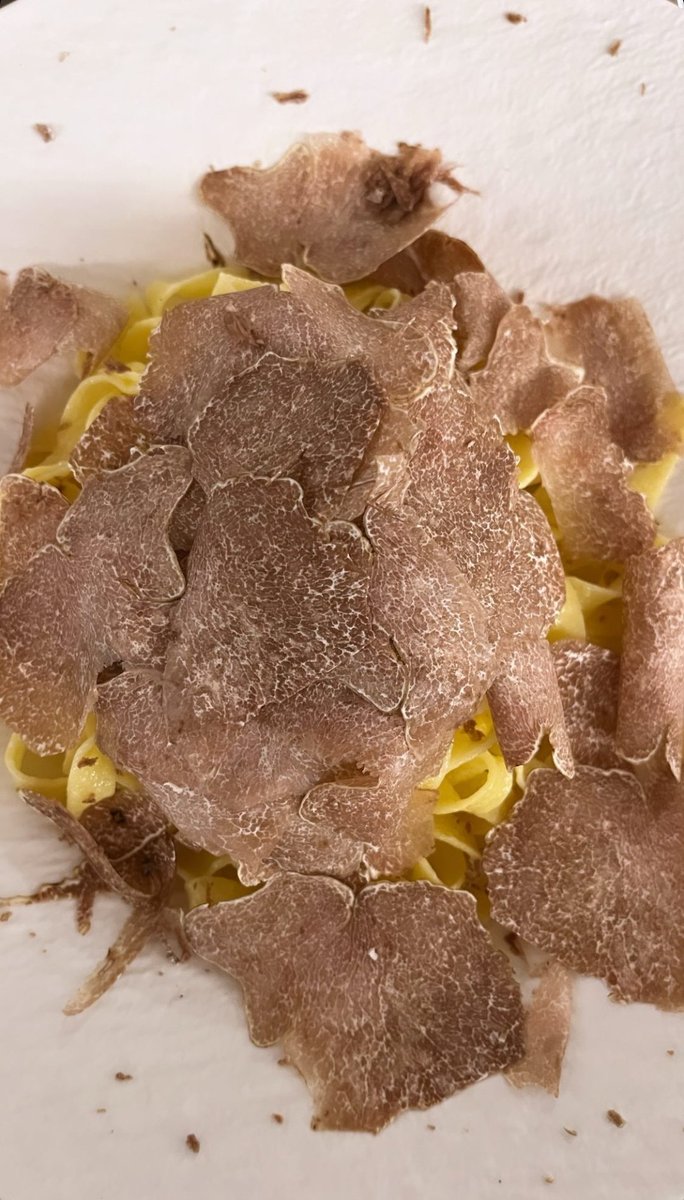 plmecc's tweet image. The season