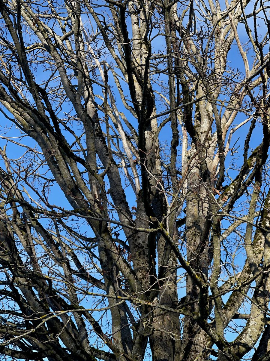 Climate Solutions community: Pls share why having a Climate Solutions round in #GG19 is important to you &amp; tag us for a retweet! 🌻We'll start: The Climate Solutions Round is important to us bc what we do in the next 7 years will determine the quality of life on Earth. #JoinUs