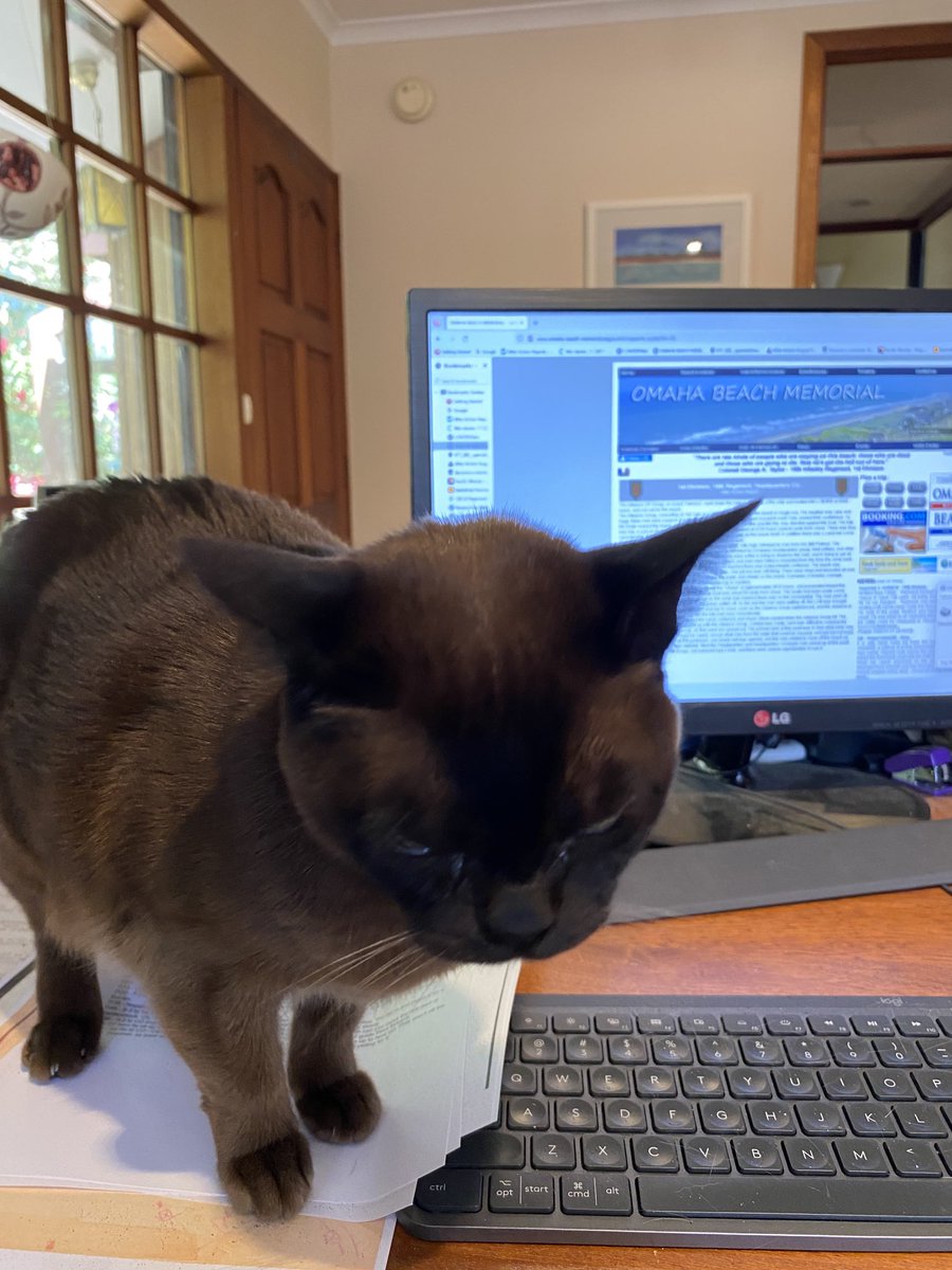 Robin Prior tweet media