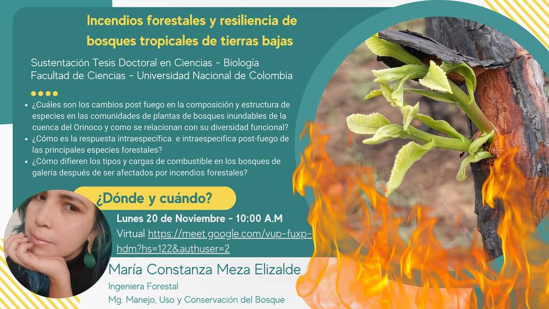 Qué tal este plan para el lunes 20 de noviembre a las 10 AM COL? 🔥🌳🔥 #Tesis #FireEcology #WomenInScience