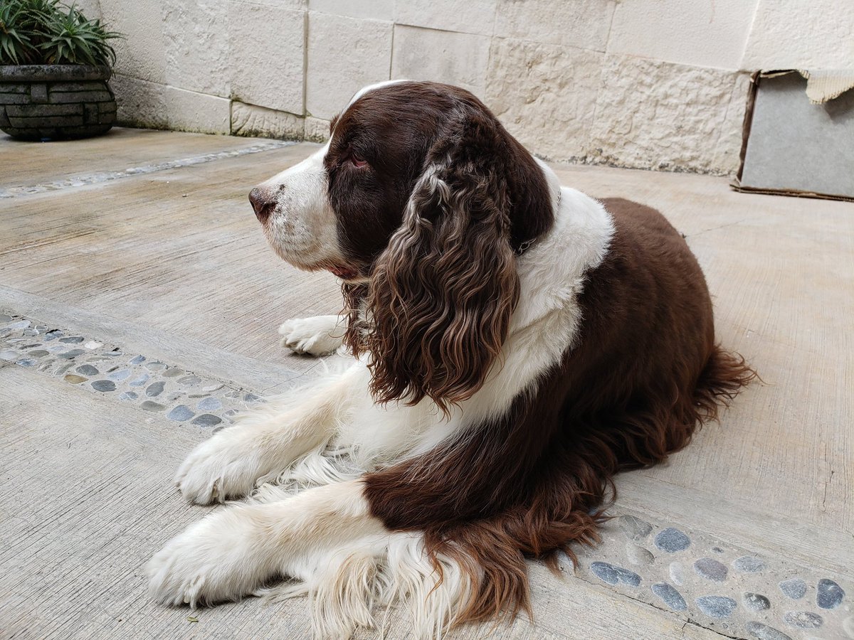 andyromom's tweet photo. Miro al cielo y no me basta https://t.co/Ue2lV0wep1