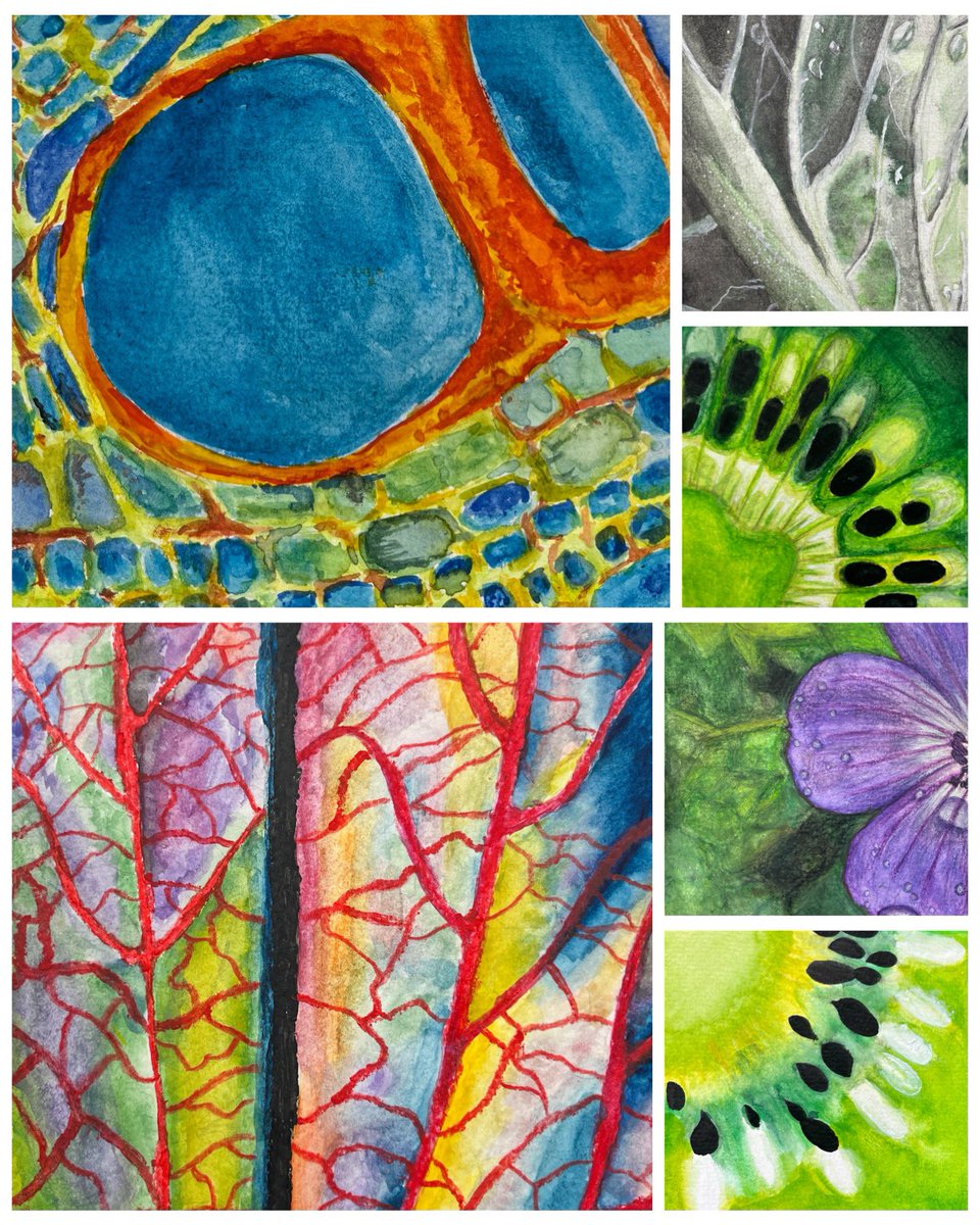 Year 10 <a href="/RedmoorAcademy/">Redmoor Academy</a>