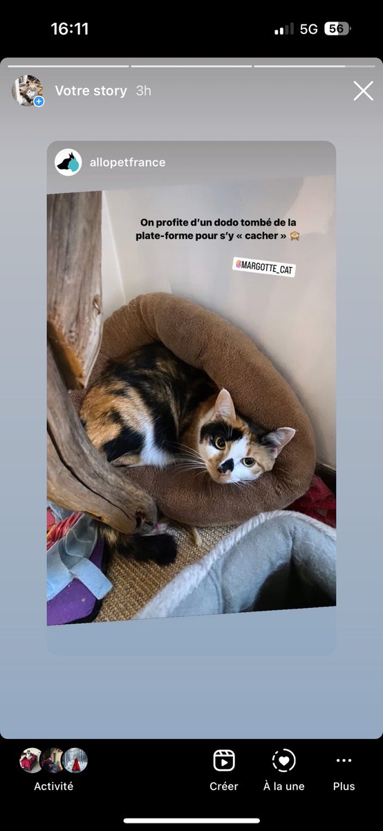 Margotte De Valdoisie tweet media