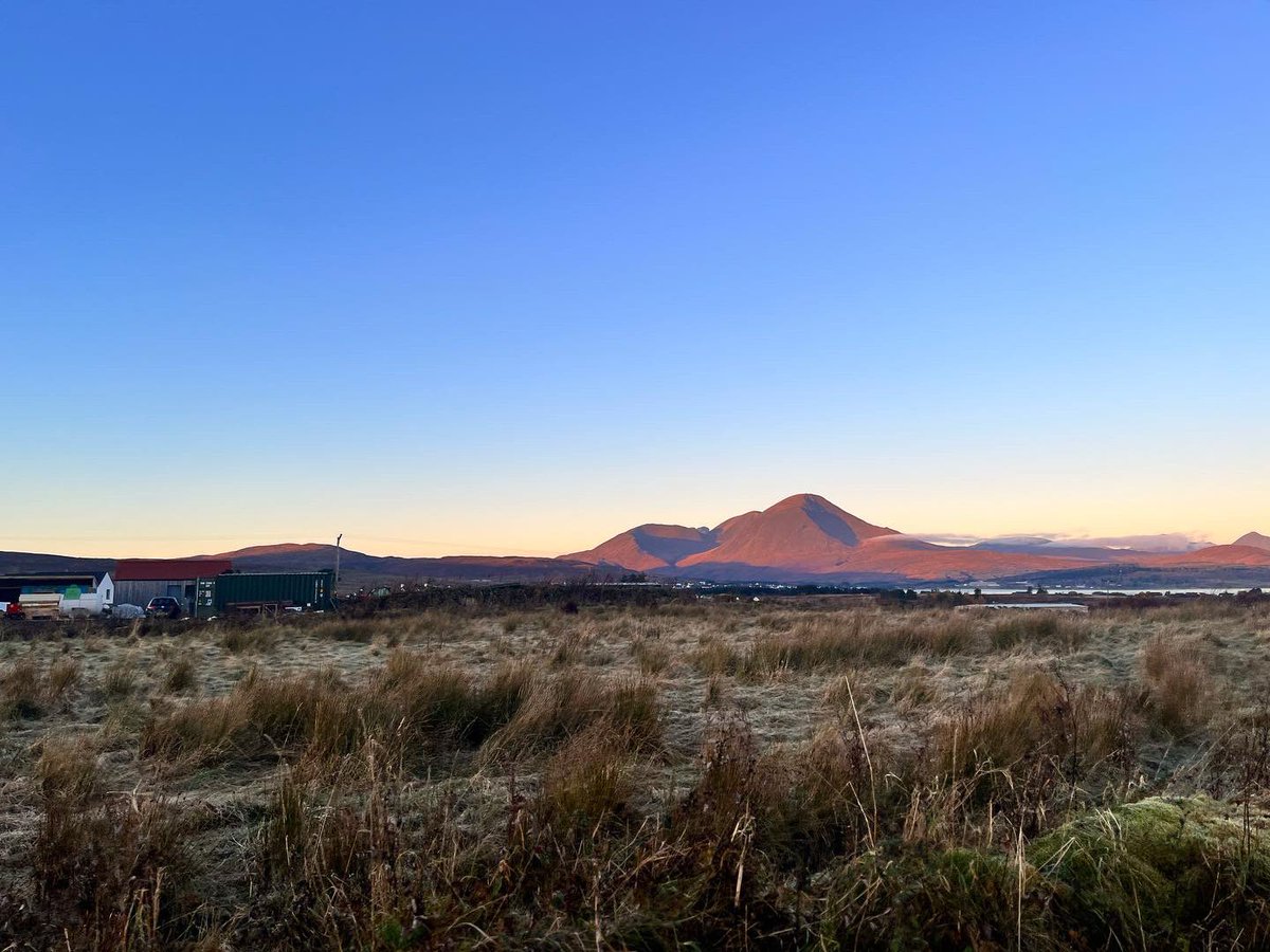 Sarah-Jayne Shankland tweet media