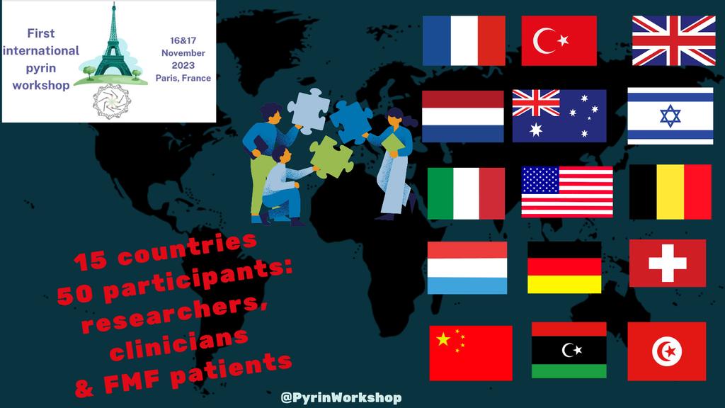 PyrinWorkshop's tweet photo. The first international pyrin workshop is finished. May exchanges. Great scientifical talks. 15 countries were represented! Thanks to #association REMI, @contactfai2r  @AFFMF @Sorbonne_Univ_ https://t.co/HNA5PM2dCj