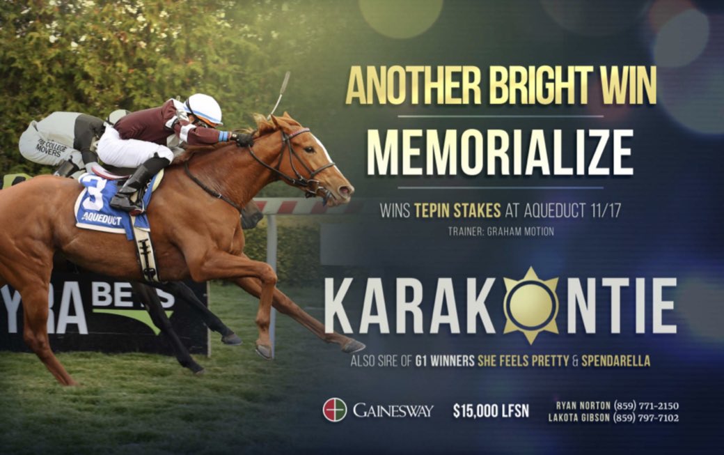 theTDN's tweet photo. Another bright win for Memorialize, daughter of @Gainesway stallion KARAKONTIE, as she wins the Nov. 17 Tepin Stakes at Aqueduct! ☀️ https://t.co/cAjOlp9elN