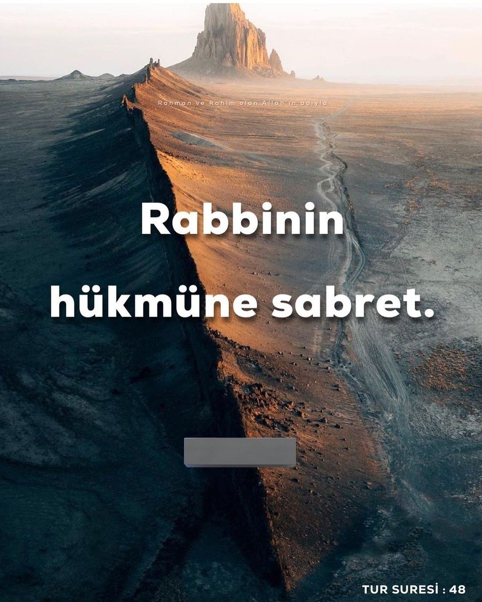 Ş. Hürkuş (@evbaab) on Twitter photo 